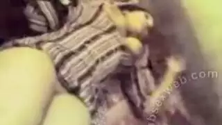 عرب في الحمار