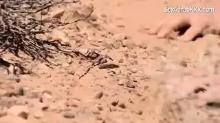 جميله تتناك في صحراء