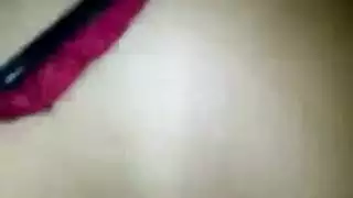 فنزويلا جلد مجس نبات
