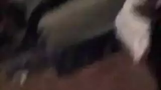 ضرب شرجي إباحي لتلك السمراء النارية