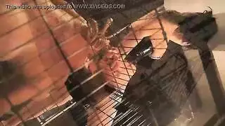 رمات السهم