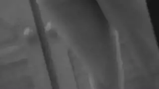 كس يأكل اللسان في منتصف الليل