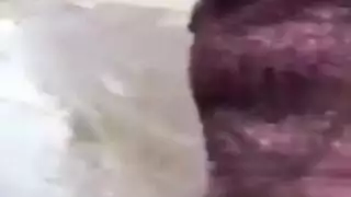جنس عنيف لفتاة عربية غير مخلصة بينما يشاهد زوجها أفلامًا للكبار
