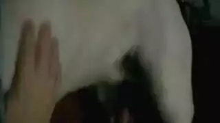 جنس حيواني خام مع مطلقة ناضجة مثيرة