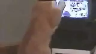 خيال مايشا الجنسي الثلاثي الإباحي