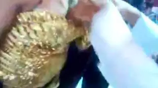 تجميع لمشاهير العرب يمصّون القضيب