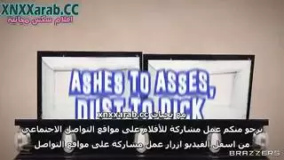 عشاق الباب الخلفي: حكاية عاشقين للشرج