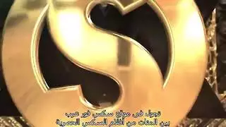 فصل دراسي صريح: المجموعة الكاملة لأفلام باميلا ريوس الإباحية