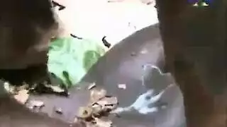 سيكس يباني في الغابة متارحم