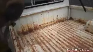 تسليم الحصان العربي لحزمة جنسية قاسية