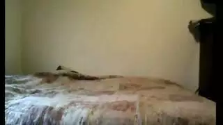 لا تقترب الي