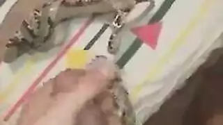 دمية الجنس الاستوائية تكشف مدخلها الضيق