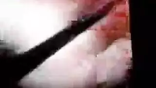 بردز