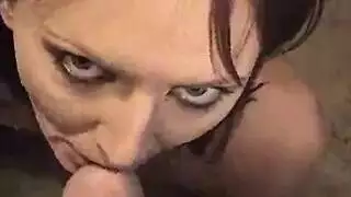 مصح الديك الأليف عتيق