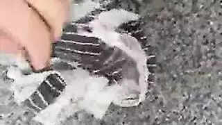 إباحية في المكتب: شقراء تأخذ اختراقًا مزدوجًا