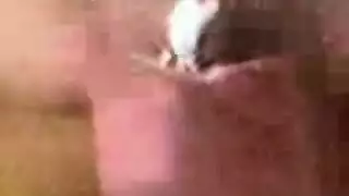 ام تنيك نفسها وهي مولعة بفردة حذاء