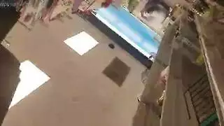 كلبات المكتب تمتلئ فتحاتهن
