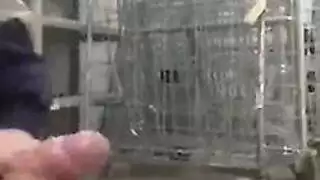 فتوات طبون زين