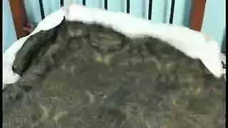 تدليك الأنسجة العميقة يؤدي لقذف عميق داخل لوسي