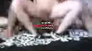 فتاة تركية تتأوه بينما القبرصي يصفع وجهها بديكه