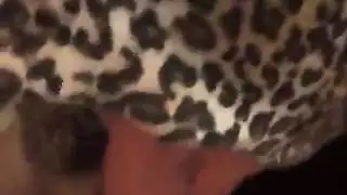 لسان محجبة ساخن ينيك زب غليظ