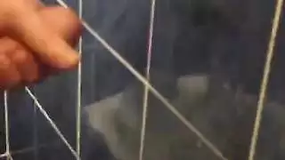 شاعر اسطنبول يمارس الجنس معي بالوزن الخماسي