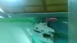 ثانوي إكس إكس إكس: نيك كس زميلتي الضيق في الخارج