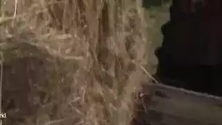 لقطات تحطيم زبور عربي كاملة
