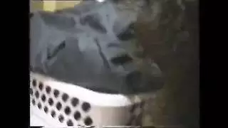 سكس اختصباب