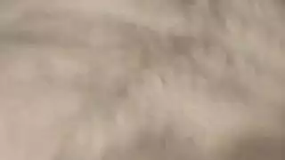 شروق الأثداء: هؤلاء الكلبات يحببن التباهي بصدرهن