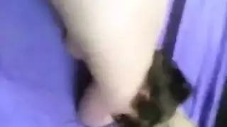 فتاة تطمح لنجوم البورن تمص الزبر وتحب النيك الكلبي