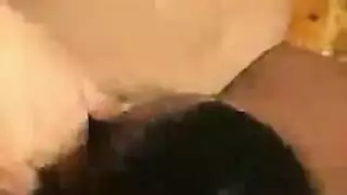 حفلة عصابة جنسية: رجل واحد يخدم كل أصدقائه المثارين