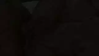 حصان معابنات