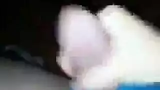 كلبات يفركن بظراتهن معاً، متشوقات لجنس ثلاثي