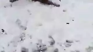 تسحيب اخيوط عل ماي خليف