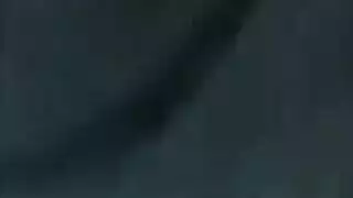 مين شلبي