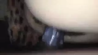سكس كولو وليد