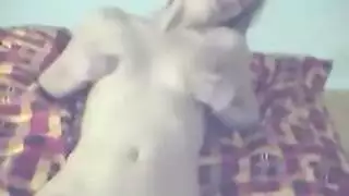 تصوير جلسة كلبية مع نائب الرئيس