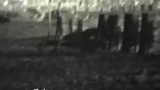 فرج شاب يُدك في مشهد صريح