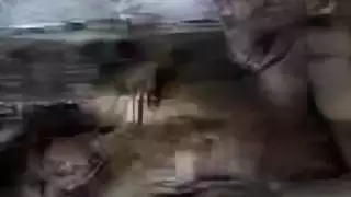 عاهرات أجنبيات صغيرات يتم تلقينهن