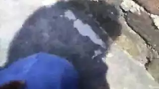 احتفال جنسي أجنبي: إباحية عالمية في أبهى صورها