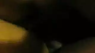 صور بلبل الرجال