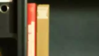 متنك كفر الغاب