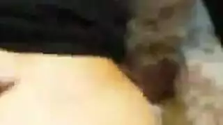 ثنائي من نجوم الإباحية الأبنوس في مشهد جنسي شغوف