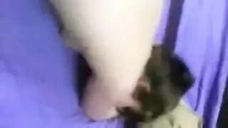 اسمر ينيك مراته ويصور