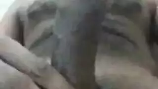 هولي مايكلز الأرنوبة المثيرة على المنحدرات تأخذ جولة جنسية قاسية