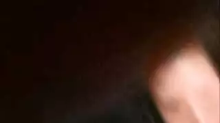 الحلم المتطابق