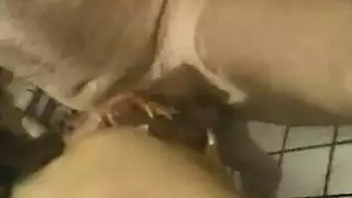 حلوة مربرة