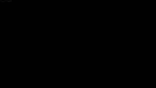 زوجات هنتاي