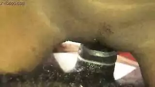 سكس منكبه فجره